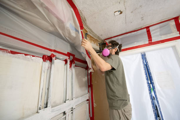 Best HVAC Mold Inspection and Cleaning  in Sandy Springs, SC