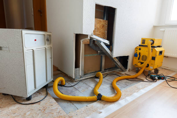 Best Attic Mold Removal  in Sandy Springs, SC