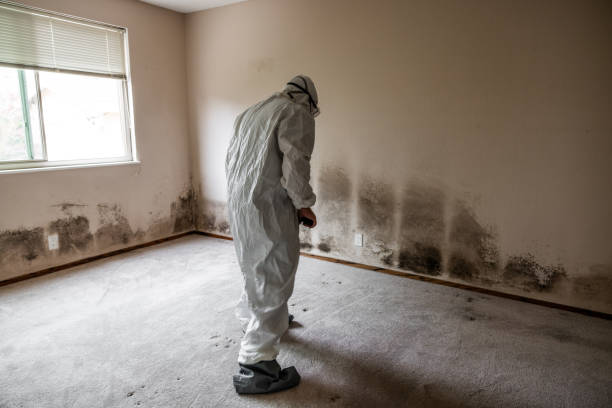 Best Water Damage & Mold Remediation  in Sandy Springs, SC